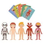 Apli Kids Το Ανθρώπινο Σώμα - Image 2
